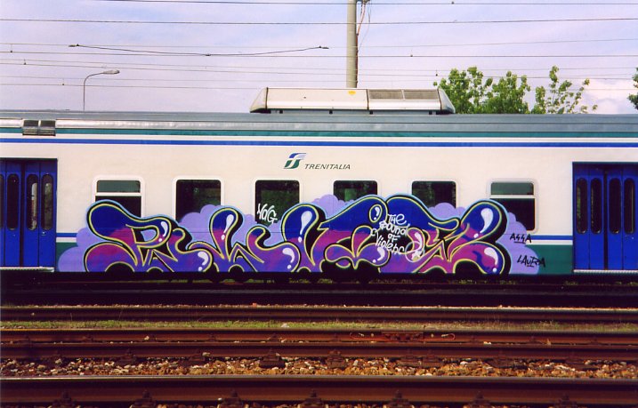 ELVIS ASSA NDG